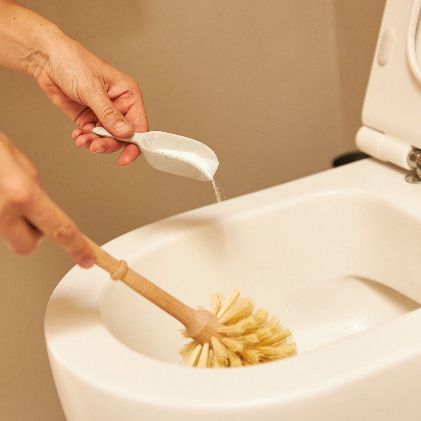 Starter-Set Reinigungsbürsten mit Naturborsten