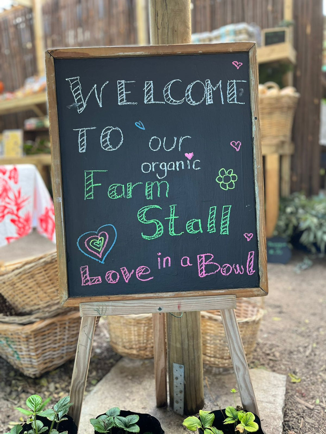 Love in a bowl
